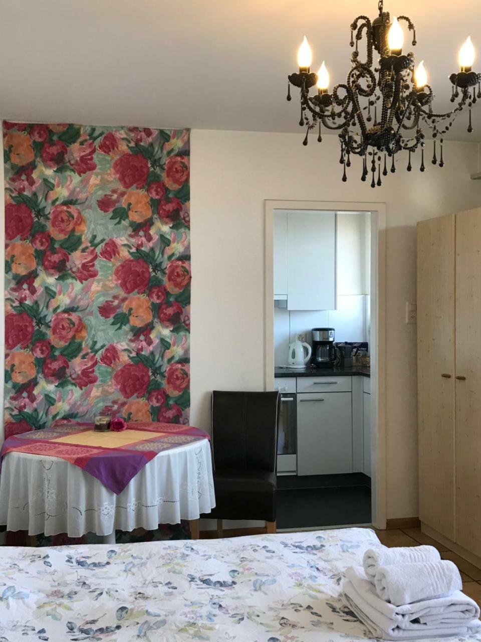 Center Basel Apartment ภายนอก รูปภาพ